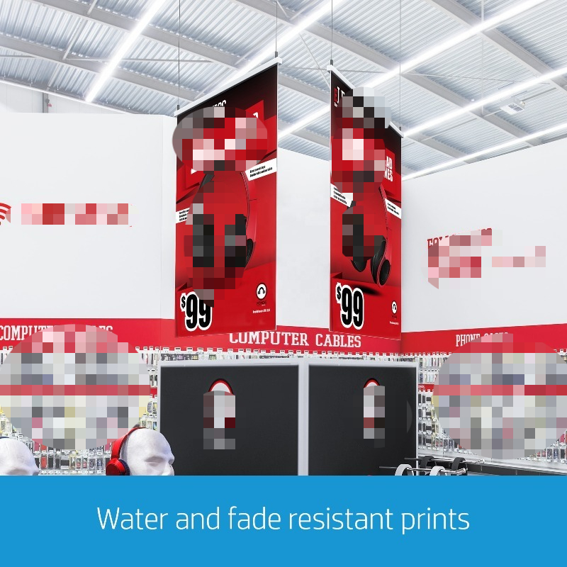 Large Capacity Digital Large P - đánh giá và giá Photo Printer